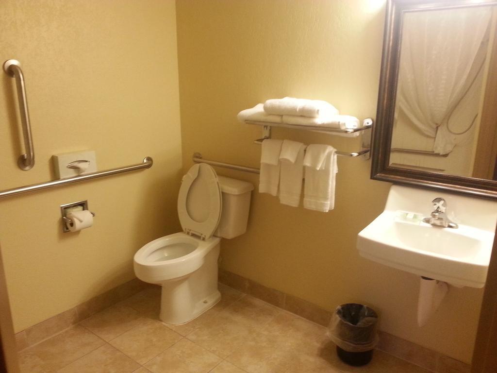סגינאו Quality Inn & Suites חדר תמונה